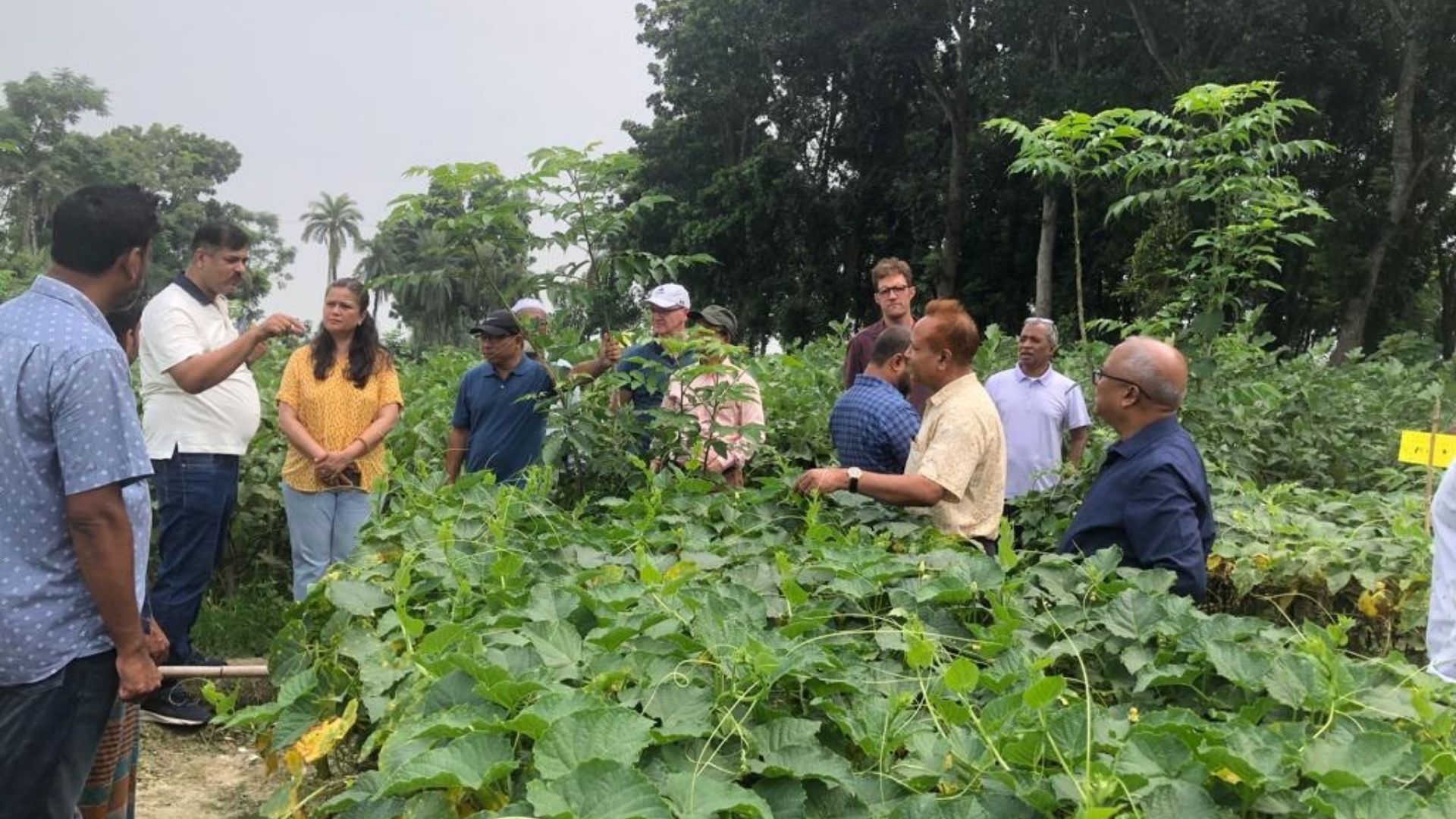 bfvapea Main Page 5 05