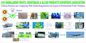 bfvapea Main Page 31 Horticultural 8feet 4feet copy