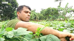 bfvapea Main Page 33 web